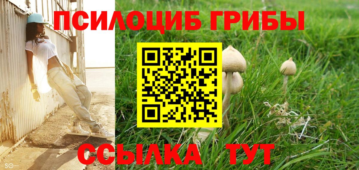 Псилоцибиновые грибы Magic Shrooms  магазин продажи наркотиков  Вход с VPN  Лениногорск  Псилоцибиновые грибы GOLDEN TEACHER 